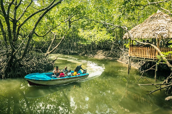 Baratang Island