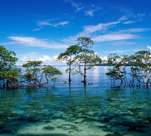 10 NIGHTS 11 DAYS EXOTIC ANDAMAN